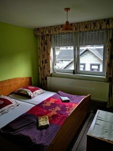 a bedroom with a large bed with a window at Gehlberger Landhaus am Schneekopf / Ferienwohnung in Suhl
