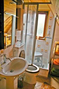 a bathroom with a shower and a toilet and a sink at Ferienhaus Busch in Bünsdorf