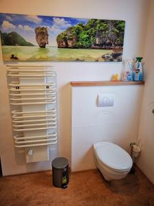 a bathroom with a toilet and a painting on the wall at Gehlberger Landhaus am Schneekopf / Ferienwohnung in Suhl +40 photos