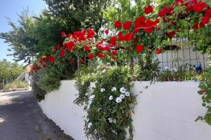Zahrada ubytování Το σπίτι της Ελένης