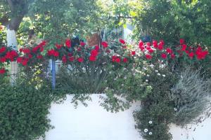Zahrada ubytování Το σπίτι της Ελένης