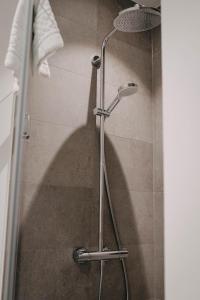 a shower stall with a shower head in a bathroom at Maximilian Studios in Speyer