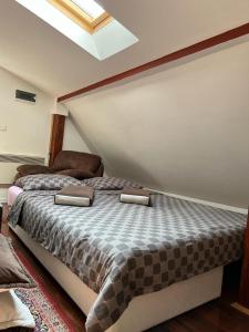 1 dormitorio con 1 cama y tragaluz en Apartment Grcic, en Sarajevo