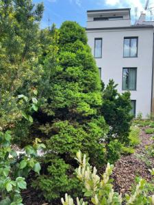 Vonkajšia záhrada v ubytovaní Executive Apartments Taborska