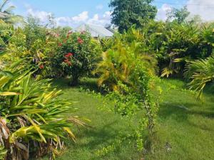 Aed väljaspool majutusasutust Villa Sous le Manguier-Anse Bertrand 5min plage