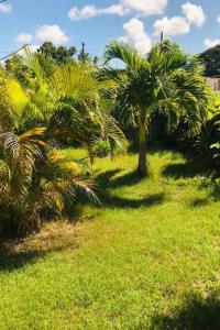 Aed väljaspool majutusasutust Villa Sous le Manguier-Anse Bertrand 5min plage