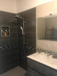 y baño con ducha y lavamanos. en Villa Sous le Manguier-Anse Bertrand 5min plage en Anse-Bertrand