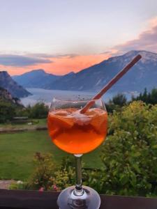 a drink in a wine glass with a stick in it at Ferienwohnung-Casa-Uta-Gardasee-Limone-Tremosine in Tremosine Sul Garda