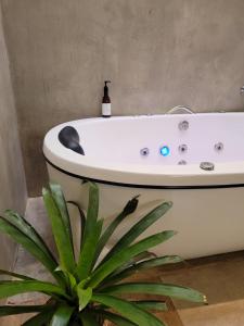 Casa Dharma - Conforto e Silêncio في ألتو بارايسو دي غوياس: حوض استحمام في حمام به نبات +23 صورة