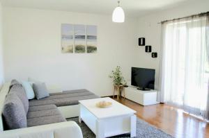 a living room with a couch and a tv at Apartment Olivia in Šmrika