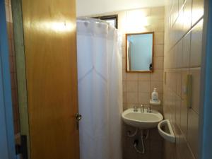 y baño con cortina de ducha y lavamanos. en Alem Mendoza en Mendoza