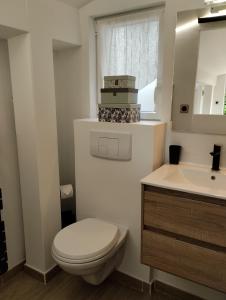 een badkamer met een toilet en een wastafel bij L'Atelier Saint-Sulpice entre Bordeaux et St Emilion in Saint-Sulpice-et-Cameyrac
