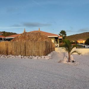 a building with a straw hut and a palm tree at CASA ANTONIA Villapark Fontein mit Salzwasserpool in Fontein
