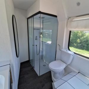 a bathroom with a toilet and a glass shower at Lutzmannhof in Irdning