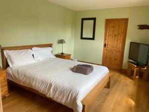 een slaapkamer met een groot bed en een televisie bij Chapel Cross House in Ballinskelligs