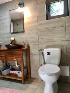 a bathroom with a toilet and a sink and a mirror at Domeniul Horj Casa din Stejar Moisei in Moisei