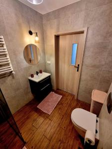 a bathroom with a toilet and a sink and a mirror at Apartament 'U PODNÓŻA GROMADZYNIA' in Ustrzyki Dolne