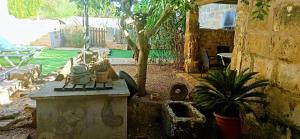 an outdoor patio with a table and a potted plant at ca sa tia in Santanyi