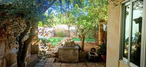 a garden with a fountain and trees and a pool at ca sa tia in Santanyi