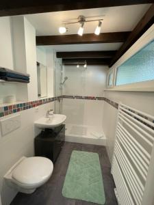 een badkamer met een toilet, een wastafel en een douche bij Ferienwohnung Studio 5 in Siegsdorf