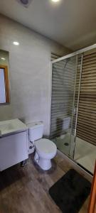 een badkamer met een toilet, een wastafel en een douche bij Casa da Fonte Velha - Covilhã in Covilhã