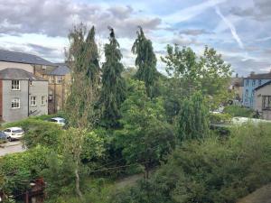 eine Gruppe von Bäumen und Sträuchern in einer Stadt in der Unterkunft Beautiful 1-Bed Apartment in central Ulverston in Ulverston