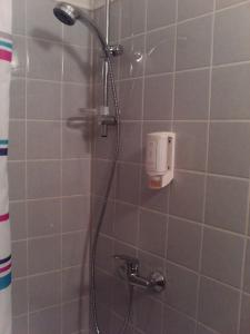 a shower with a shower head in a bathroom at Gasthof zur Krone in Burghaslach