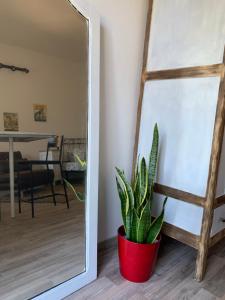 a plant in a red pot next to a mirror at Cà del Prete country room in Valenza