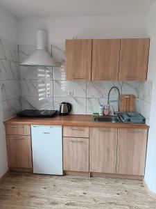 a kitchen with wooden cabinets and a white dishwasher at U Zbyszka in Kamienna Góra