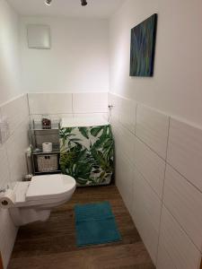 a bathroom with a toilet and a green rug at Ferienwohnung Woferlbauer in Au