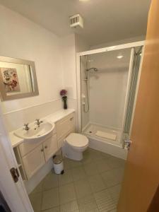 a bathroom with a toilet and a shower and a sink at Hopetoun Apartment with free parking in Edinburgh