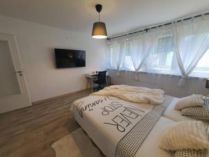 a bedroom with two beds and a tv in it at Aparman Jež 3 De Lux in Karlovac