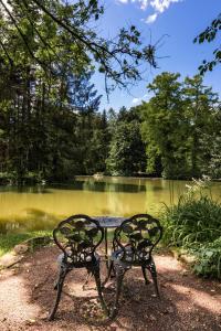 dwie metalowe ławki siedzące przed jeziorem w obiekcie Hotel Dammenmühle w mieście Lahr/Schwarzwald