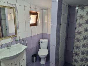 een badkamer met een toilet, een wastafel en een spiegel bij Casa Lucia in Anina