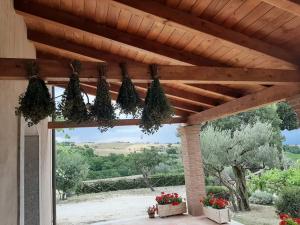 A garden outside Agriturismo Torre Gialluise