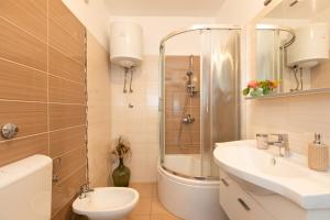 a bathroom with a shower and a sink and a toilet at Apartments House Risika in Risika +51 photos