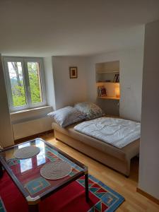 una camera con letto e tavolo in vetro di Casa di vacanza in Capriasca ( Lugano ) a Bidogno