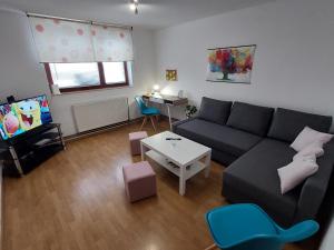 sala de estar con sofá y TV en Suite Elena, en Nedelišće
