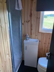 a bathroom with a shower and a toilet and a sink at Couston Lakes Resorts in Bathgate
