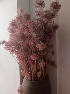 Gallery image of Can Perles casa rural in Tárbena