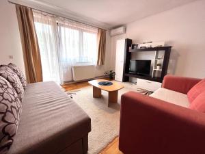 Apartment Viktorija في أوزيتشي: غرفة معيشة مع أريكة وتلفزيون