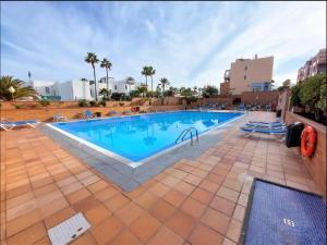 una gran piscina en un complejo con palmeras en Suite del Mar Playa Esquinzo 1 Jandia Fuerteventura en Playa de Jandía