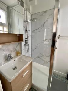 a bathroom with a sink and a shower at Bro’ Flat appartement au calme Cherbourg Centre in Cherbourg en Cotentin +10 photos