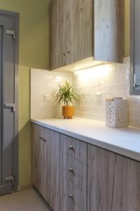 a kitchen with wooden cabinets and a potted plant at Heliotopos in Skala Eresou