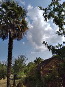 Príroda v okolí of the bed and breakfast