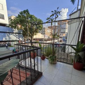 卡利内华达酒店的相册照片