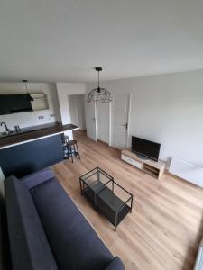 Televízia a/alebo spoločenská miestnosť v ubytovaní Appartement 2 pièces de Charme à d'Annemasse.