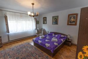 Gallery image of Doi Bujori in Alba Iulia