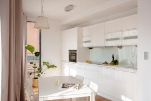 Kuchyňa alebo kuchynka v ubytovaní Spacious apartment close to Main Station / Galeria Krakowska
