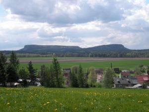 a field of green grass with mountains in the background at Ferienwohnung Füssel am Malerweg in Schöna